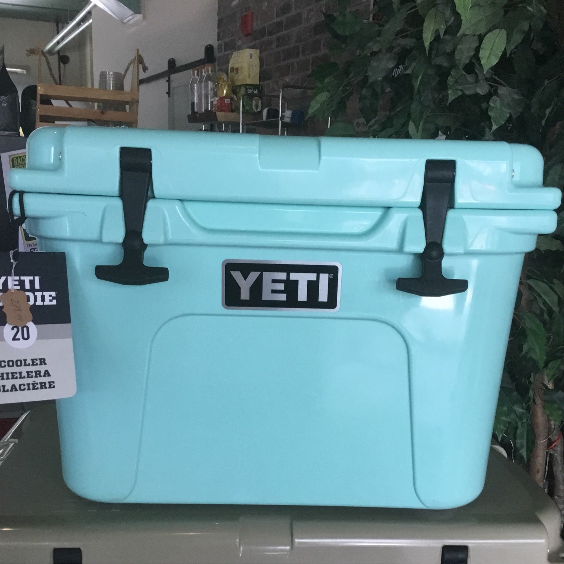 Yeti shop roadie seafoam